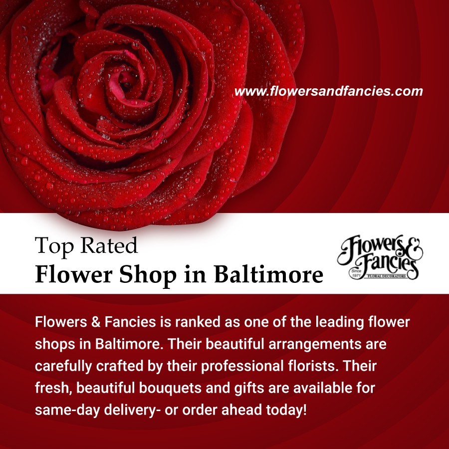 Top Rated Flower Shop in Baltimore - Flowers & Fancies